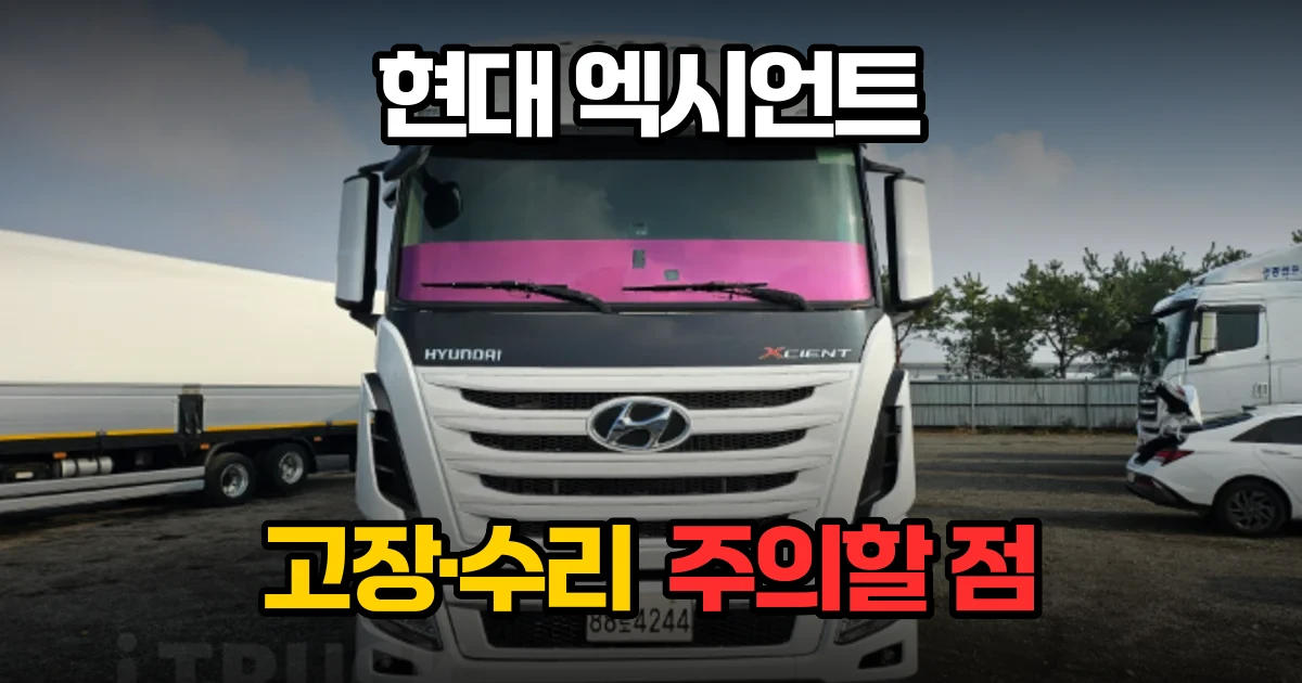 현대 엑시언트 정비 후기