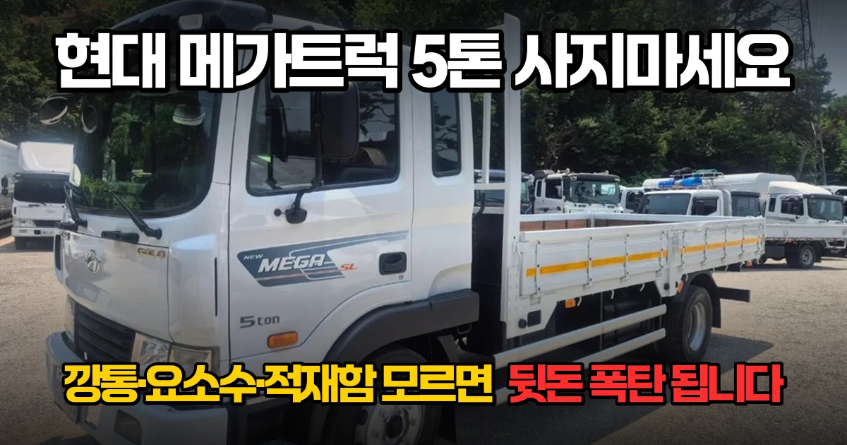 현대 메가트럭 중고 5톤 사지마세요? 깡통·요소수·적재함 확인법