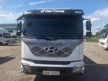 현대 파비스 300 단바리 카고 5톤 오토 매물